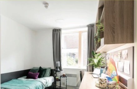 University of Surrey – accommodation photo 4