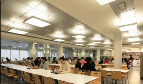 University College London – campus photo 4